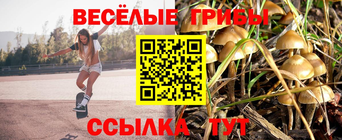 Псилоцибиновые грибы прущие грибы Звенигород