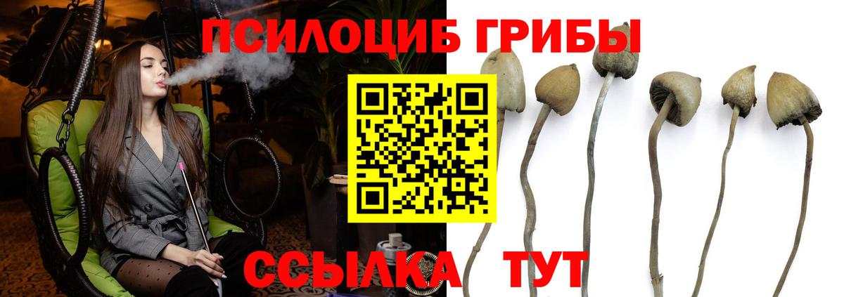 Псилоцибиновые грибы Magic Shrooms  Вход с VPN  Звенигород 